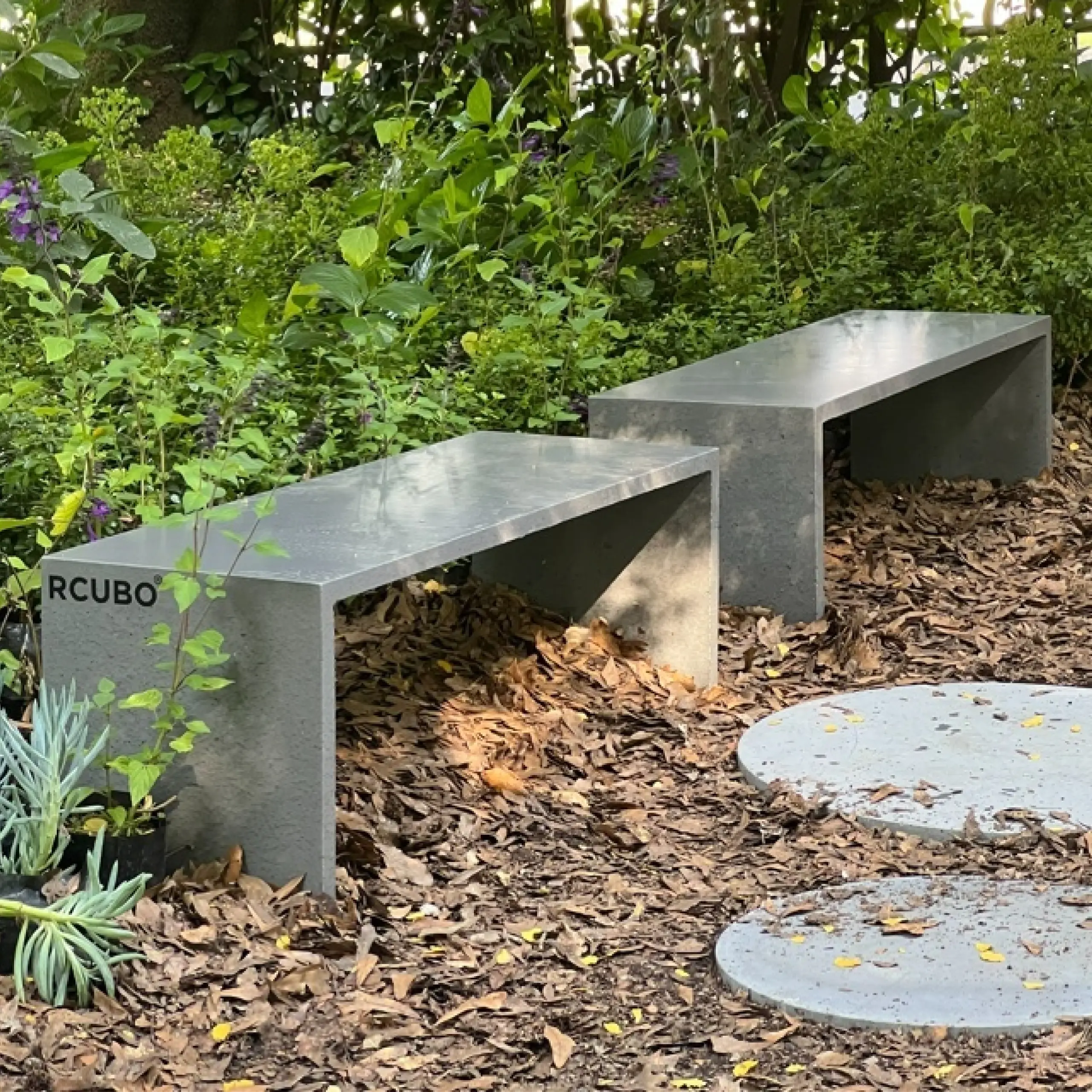 Banca Origen Recta - Imagen 3